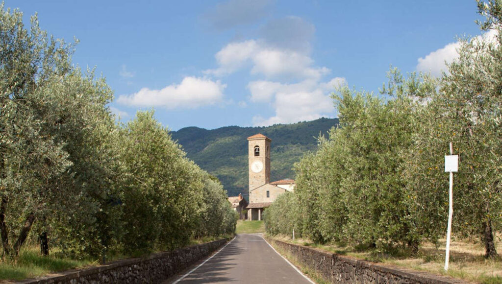 Reggello aderisce al progetto Valdarno Bike Road